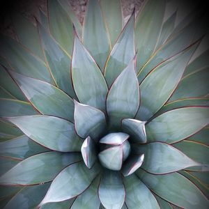 Meet your Posher, Krista